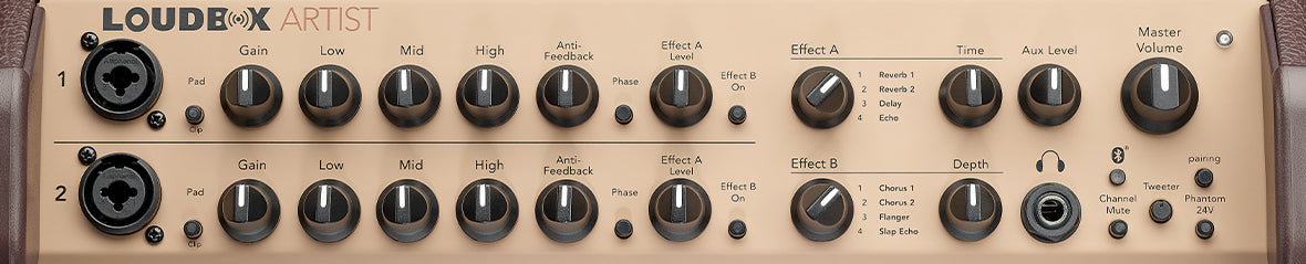 Fishman Loudbox Artist - Acoustic Instrument Amplifier
