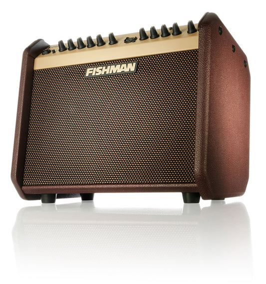 Fishman Loudbox Mini Acoustic Instrument Amplifier