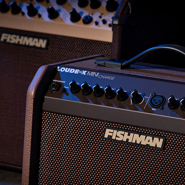 Fishman Loudbox Mini Charge - Acoustic Instrument Amplifier