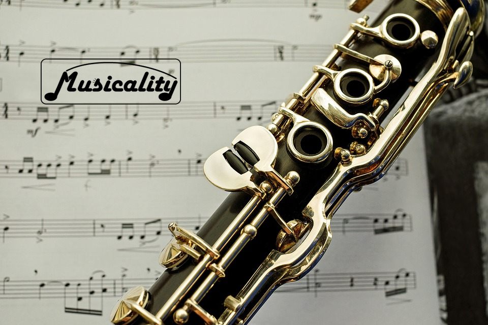 Rent school band and orchestra instruments in Albuquerque at Musicality Music Store