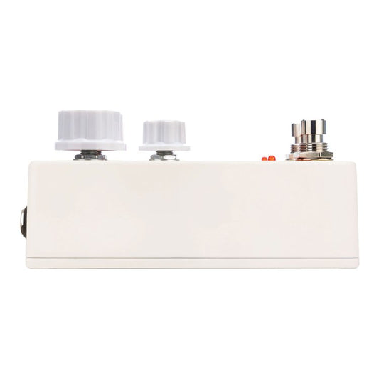 Earthquaker Devices - Gary - Automatic Pulse Width Modulation Fuzz and Dynamic Natural Overdrive
