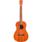 Cordoba U1B Protege Baritone Ukulele