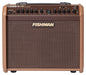 Fishman Loudbox Mini Charge - Acoustic Instrument Amplifier