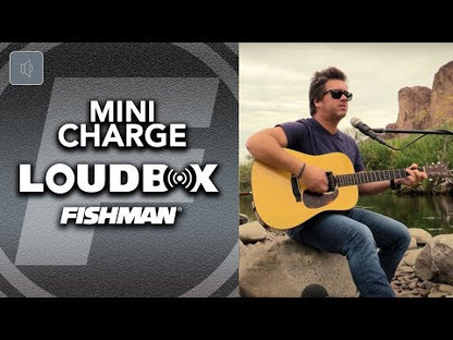 Fishman Loudbox Mini Charge - Acoustic Instrument Amplifier